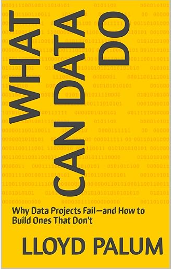 What Can Data Do? by Lloyd Palum